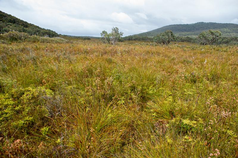 130101_1002_A06513_BareKnoll-Bivouac.jpg - Zwischen Bare Knoll und Fortescue Bay