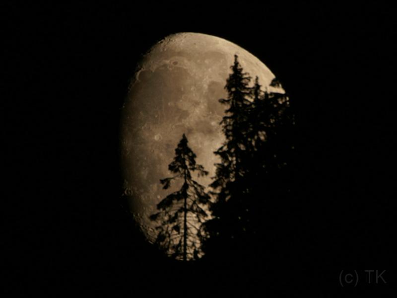 PICT74479_070922_MondWildschoenau_c.jpg - Mondaufgang in der Wildschönau