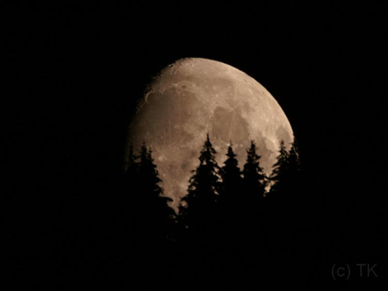PICT74511_070922_MondWildschoenau_c.jpg - Mondaufgang in der Wildschönau
