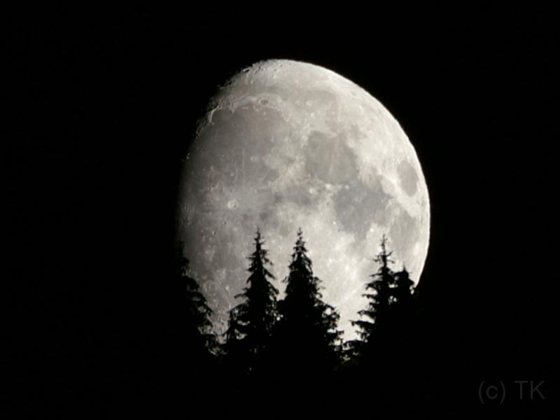 PICT74515_070922_MondWildschoenau_c.jpg - Mondaufgang in der Wildschönau