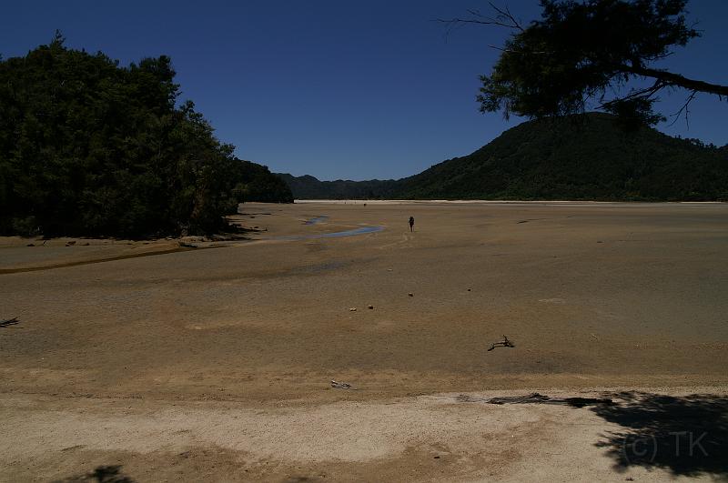 PICT93679_090108_AbelTasman2.jpg - Awaroa Inlet bei Niedrigwasser