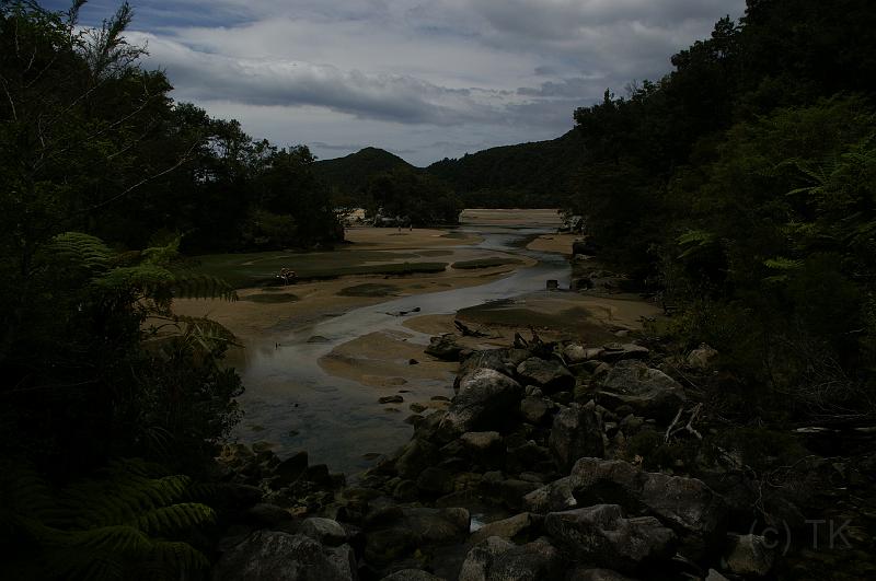 PICT9A0818_090109_AbelTasman3.JPG - Bark Bay, High Tide Track