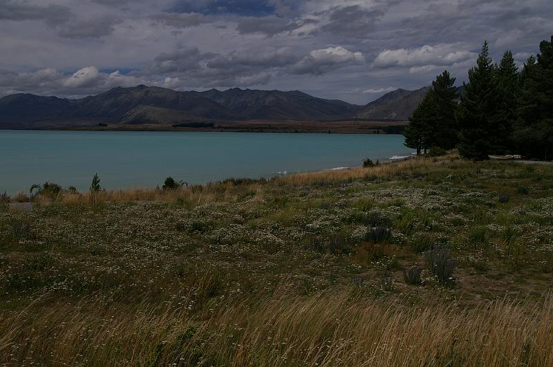 PICT94520_090117_Tekapo.jpg - Lake Tekapo