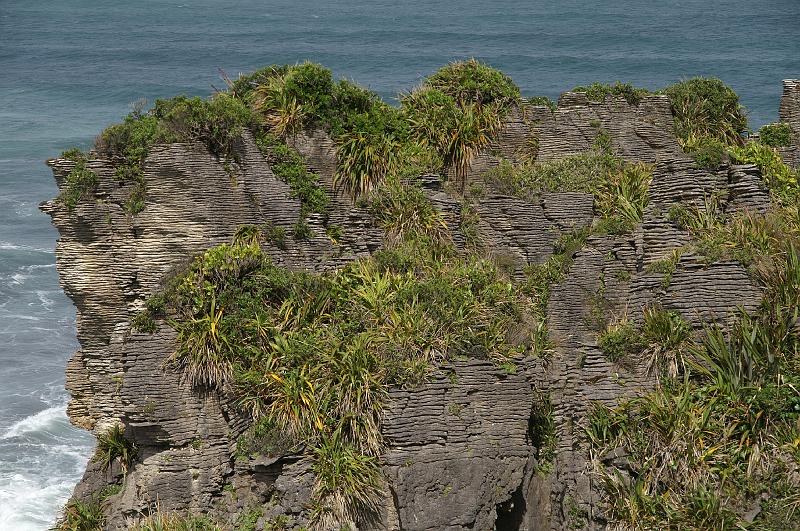 PICT93171_090102_Punakaiki.jpg - Pancake Rocks, Punakaiki National Park