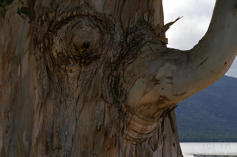 PICT82970_081228_TeAnau.jpg - Ein freundliches Gesicht am Lake Te Anau