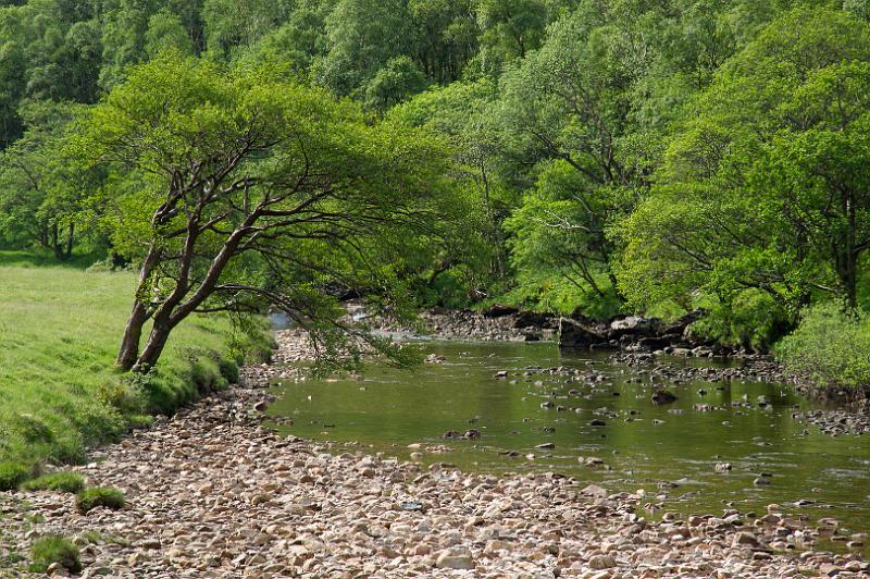 160604_0957_A01170_GlenNevis_hd.jpg - Im hinteren Glen Nevis