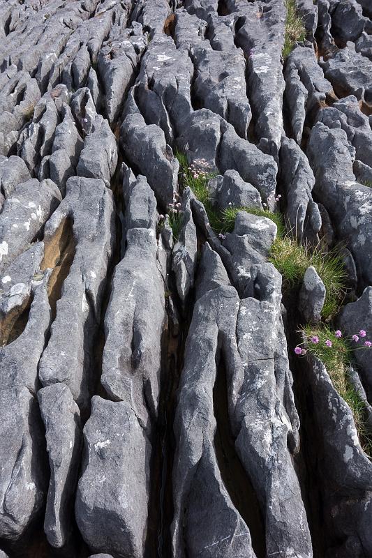 160609_1058_T07584_Elgol_hd.jpg - Am Strand von Elgol