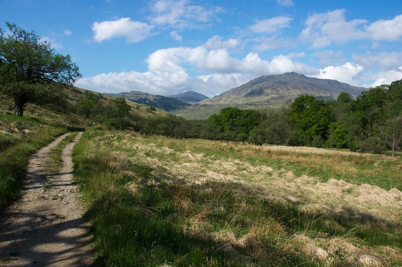 160529_0951_A00965_WHW_hd.jpg - West Highland Way zwischen Inverarnan und Crianlarich