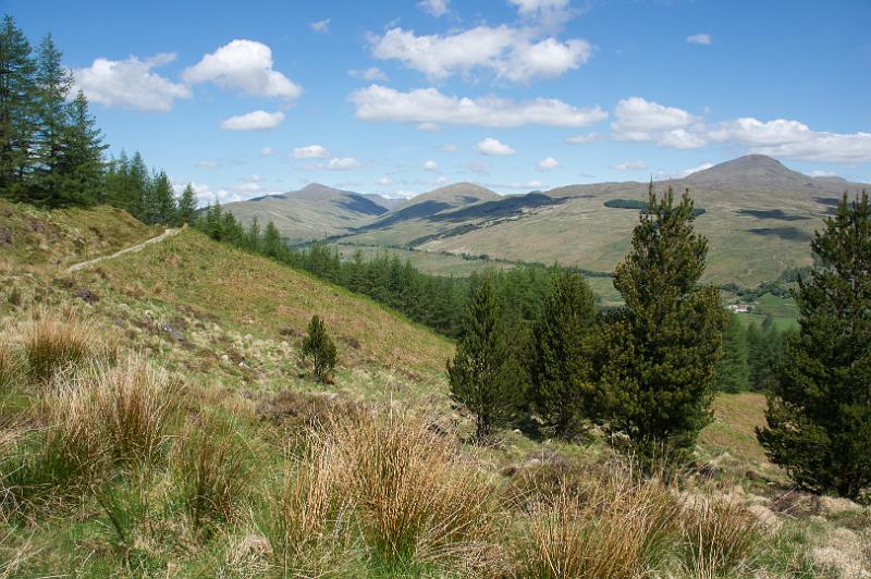 160529_1148_A00968_WHW_hd.jpg - West Highland Way zwischen Crianlarich und Tyndrum