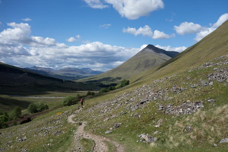 160529_1524_T06785_WHW_hd.jpg - West Highland Way zwischen Tyndrum und Bridge of Orchy