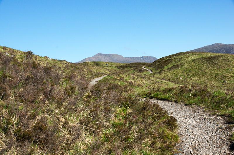 160530_0851_A00977_WHW_hd.jpg - West Highland Way zwischen Bridge of Orchy und Inveroran