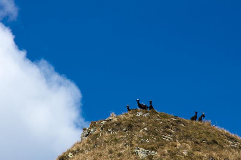 170919_1348_T09543_Traversata_hd.jpg - Aufstieg vom Rifugio Campiglio Pradecolo zur Capanna Tamaro, Monte Tamaro